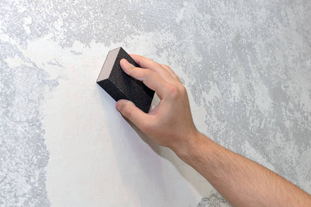 Best Industrial Mold Remediation  in Lakeland North, WA