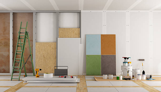 Lakeland North, WA Mold Removal Company