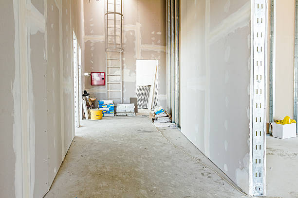 Best Mold-Related Health Consultation  in Lakeland North, WA