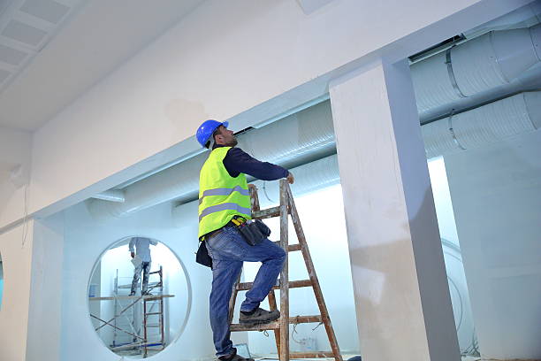  Lakeland North, WA Mold Removal Pros