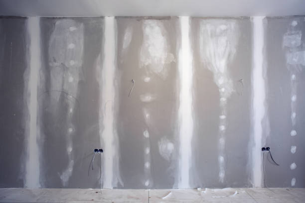 Best Mold Remediation for Vacation Homes  in Lakeland North, WA